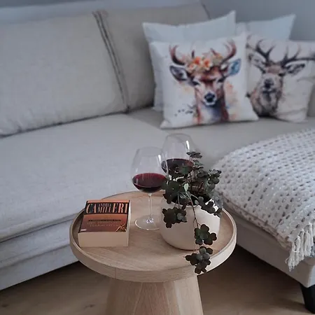 Apartment Grosszuegige 