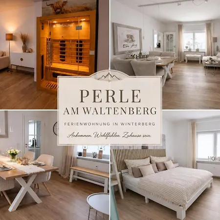 Perle Am Waltenberg, 85 Qm Ferienwohnung, Sauna, Zwei Wohnungen In Einer! Apartament Winterberg