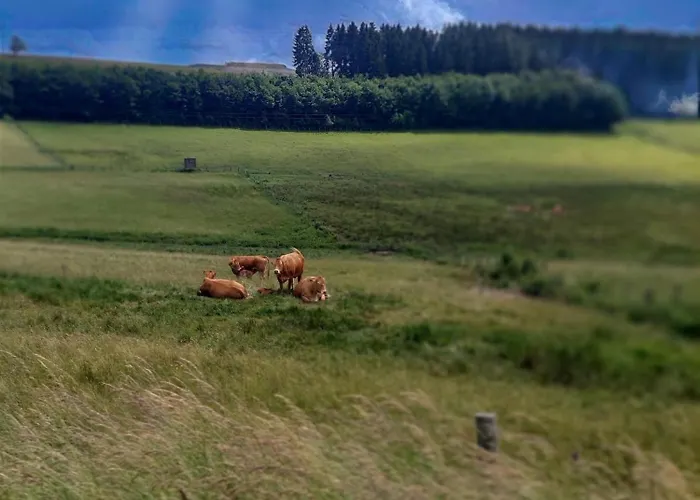 Appartement Grosszuegige 