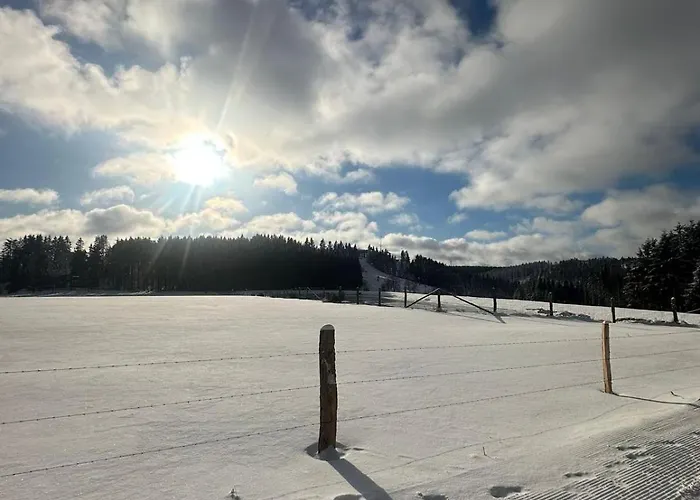 Appartement Grosszuegige 