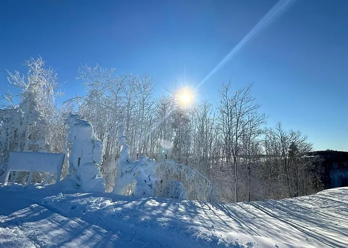 Διαμέρισμα Fruehlingsangebot - Grosse In Top-lage 
