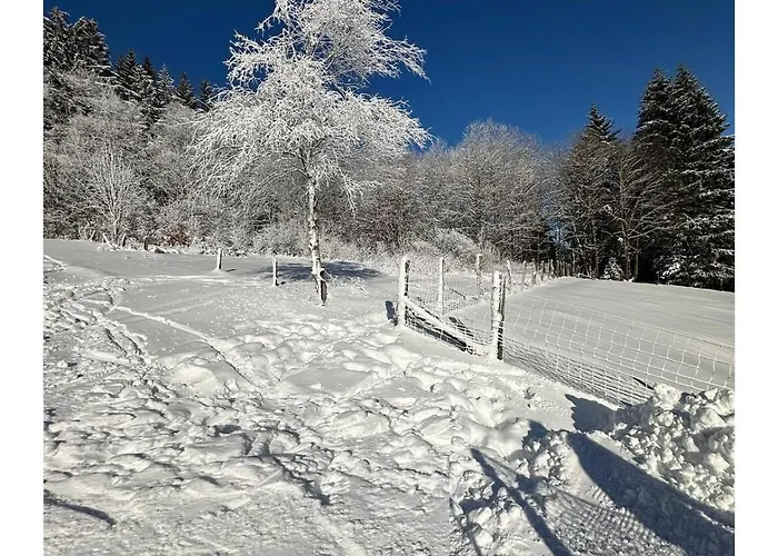 Fruehlingsangebot - Grosse In Top-lage 