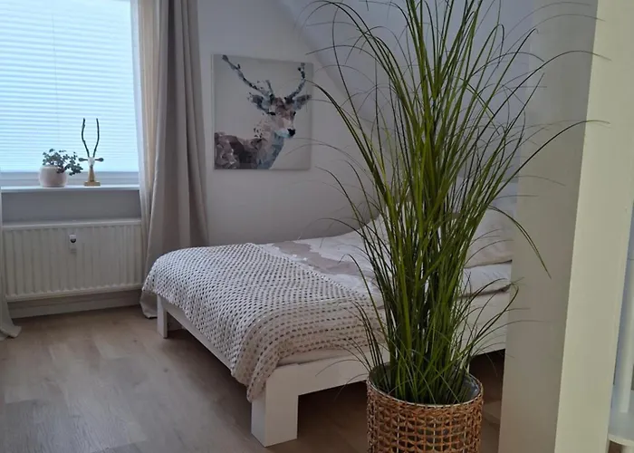 Fruehlingsangebot - Grosse Ferienwohnung In Top-Lage 