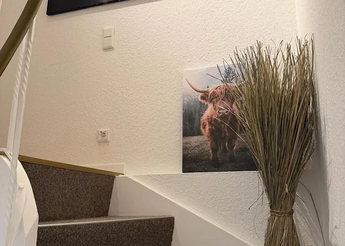 Fruehlingsangebot - Grosse In Top-lage 